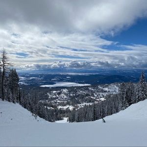 Meet your Posher, Josh